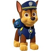 Paw Patrol theme decoration items and party supplies for kids birthday