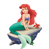 Mermaid theme decoration items and party supplies for kids birthday