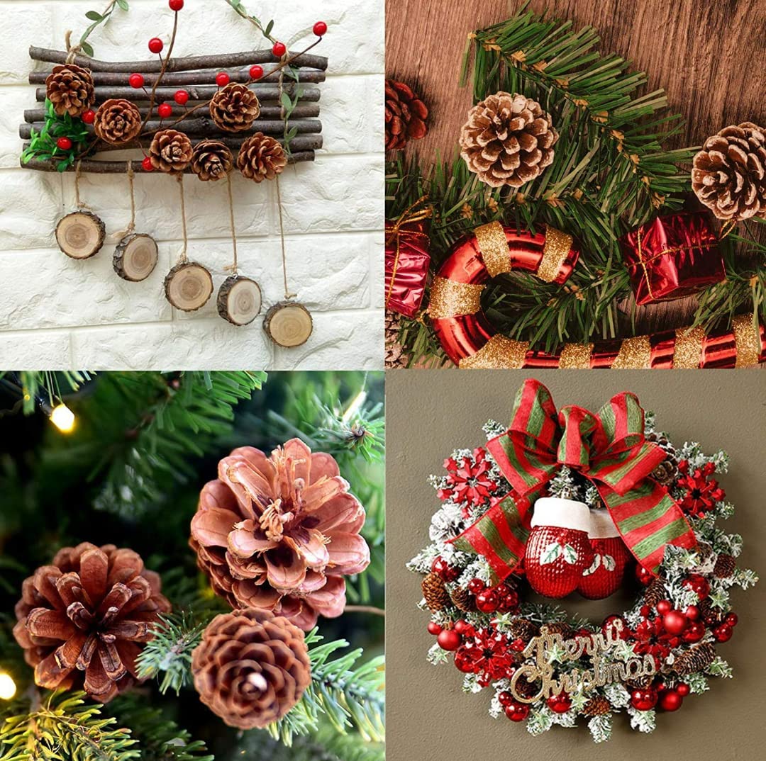 Pine Cones Ornaments with String for Crafting for Xmas Decoration - Pack of 6