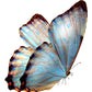 Butterfly Theme Kids Happy Birthday Cutout - Blue Butterfly - CherishX Partystore