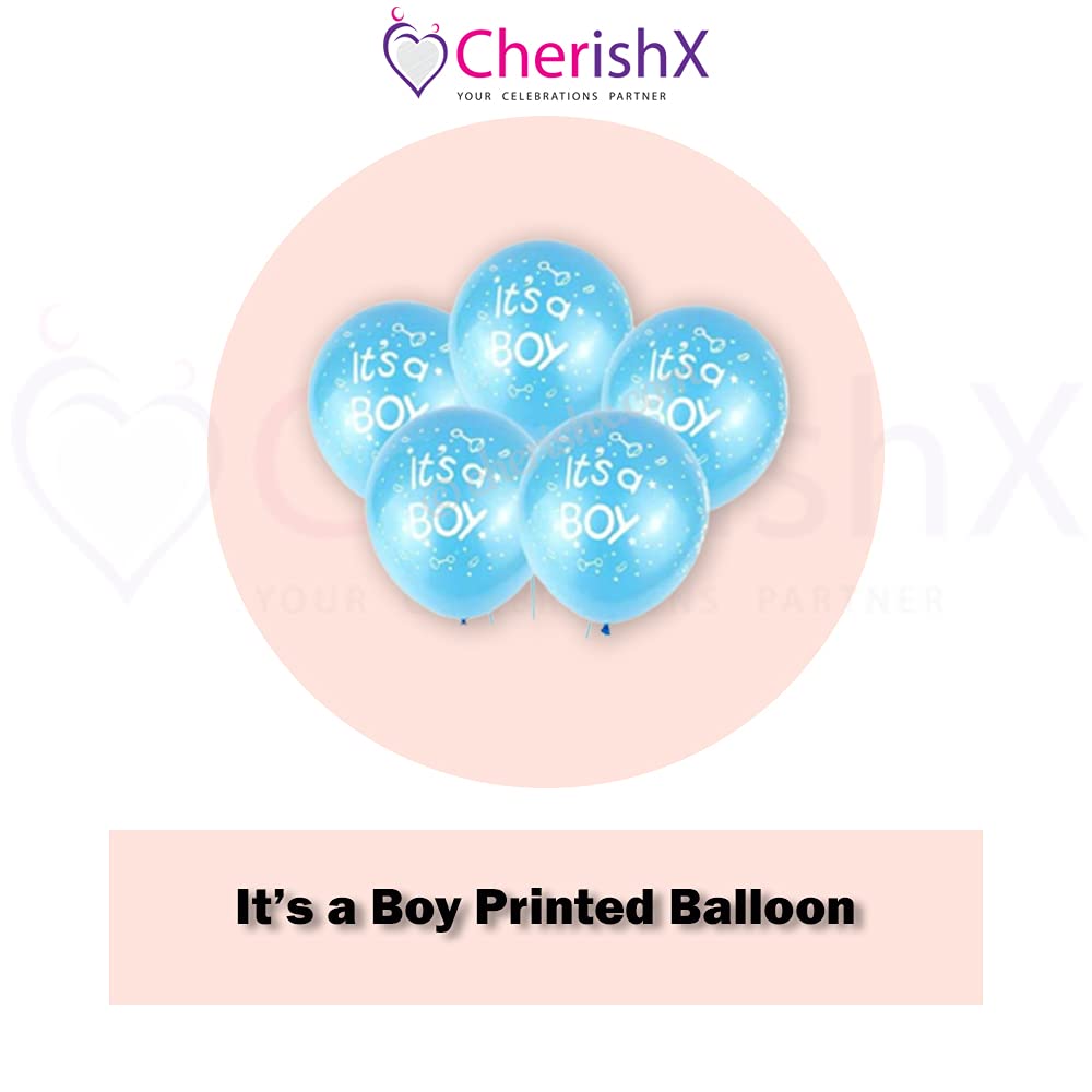 Pastel Baby Shower for Boy Decoration Items - 19 Pcs Combo - for Welcome Baby, Mom to be, Gender reveal Party, maternity shoot freeshipping - CherishX Partystore
