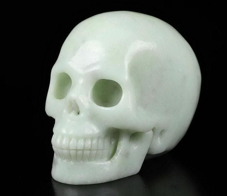 Skeleton Head Bone Skull Model Statue, Decorative Halloween Decor freeshipping - CherishX Partystore